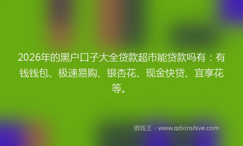 2026年的黑户口子大全贷款超市能贷款吗有：有钱钱包、极速易购、银杏花、现金快贷、宜享花等。