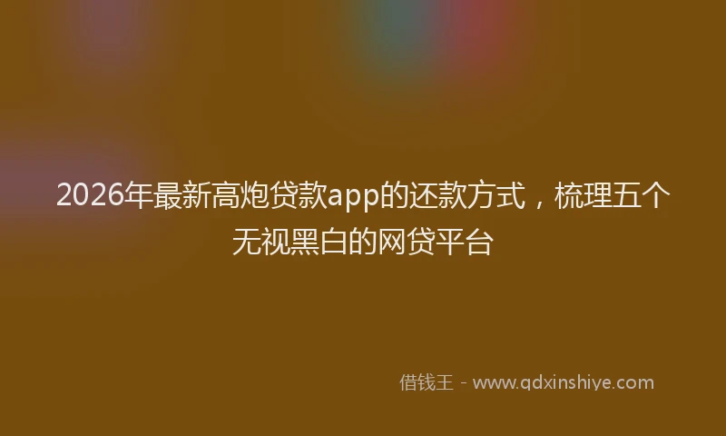 2026年最新高炮贷款app的还款方式，梳理五个无视黑白的网贷平台