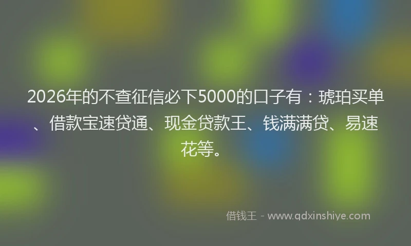 2026年的不查征信必下5000的口子有：琥珀买单、借款宝速贷通、现金贷款王、钱满满贷、易速花等。