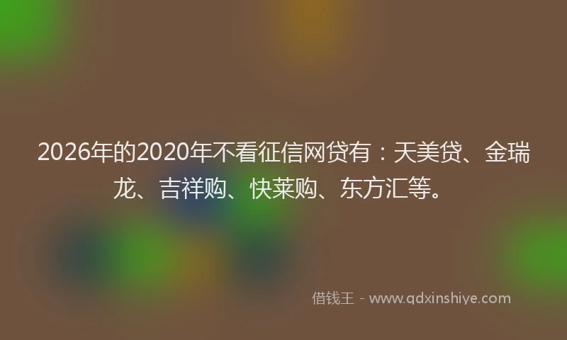 2026年的2020年不看征信网贷有：天美贷、金瑞龙、吉祥购、快莱购、东方汇等。