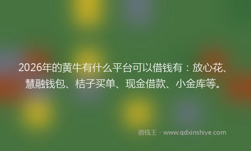 2026年的黄牛有什么平台可以借钱有：放心花、慧融钱包、桔子买单、现金借款、小金库等。