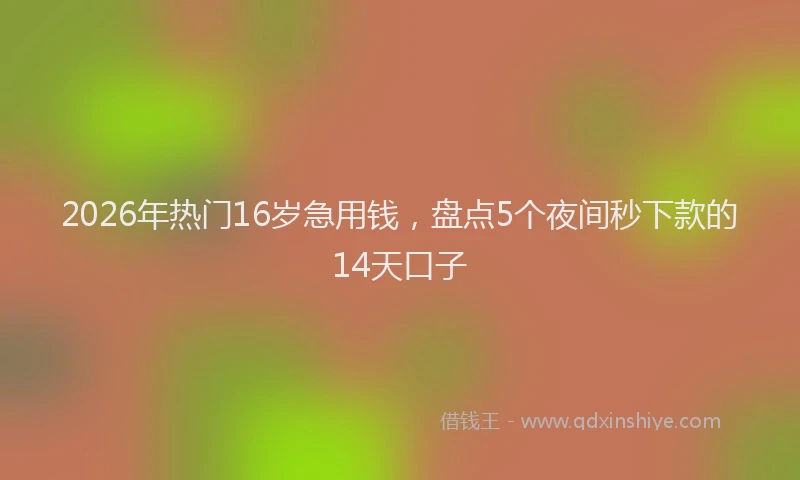 2026年热门16岁急用钱，盘点5个夜间秒下款的14天口子