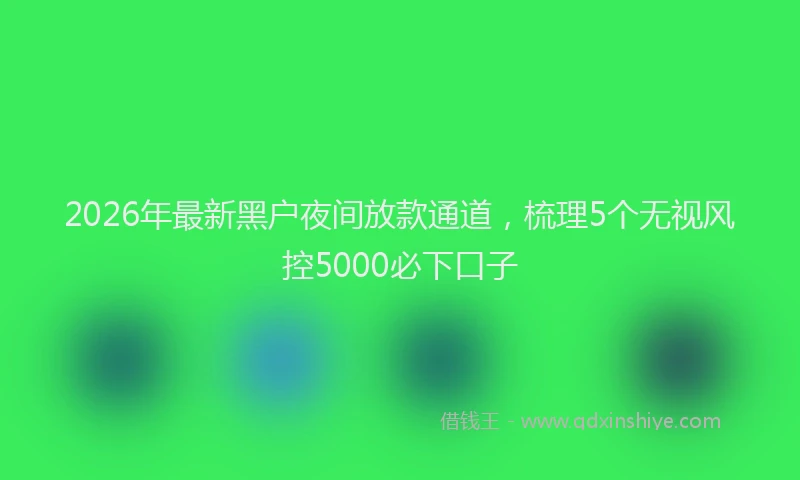 2026年最新黑户夜间放款通道，梳理5个无视风控5000必下口子