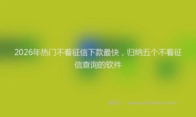 2026年热门不看征信下款最快，归纳五个不看征信查询的软件