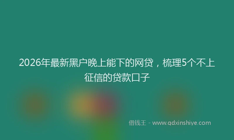 2026年最新黑户晚上能下的网贷，梳理5个不上征信的贷款口子