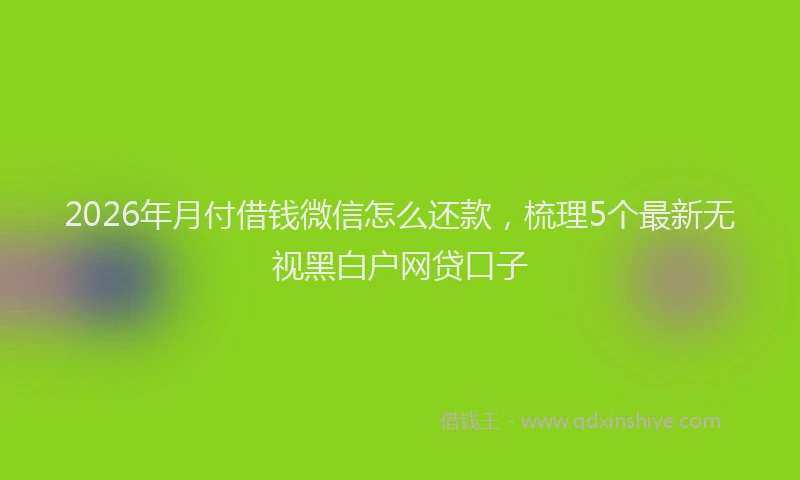 2026年月付借钱微信怎么还款，梳理5个最新无视黑白户网贷口子