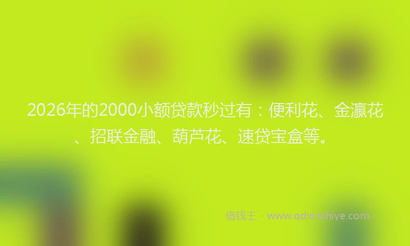 2026年的2000小额贷款秒过有：便利花、金瀛花、招联金融、葫芦花、速贷宝盒等。