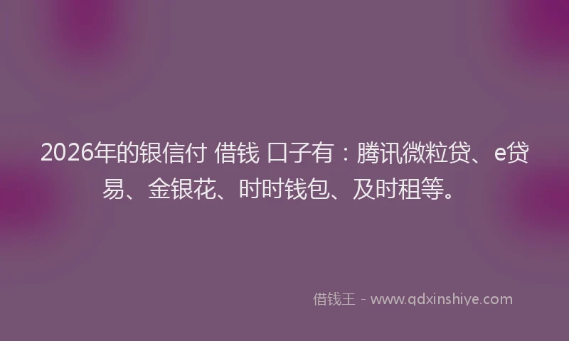 2026年的银信付 借钱 口子有：腾讯微粒贷、e贷易、金银花、时时钱包、及时租等。