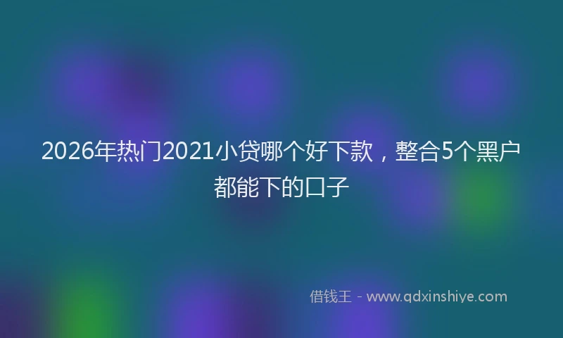 2026年热门2021小贷哪个好下款，整合5个黑户都能下的口子