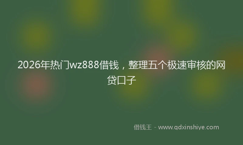2026年热门wz888借钱，整理五个极速审核的网贷口子