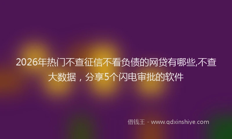 2026年热门不查征信不看负债的网贷有哪些,不查大数据，分享5个闪电审批的软件
