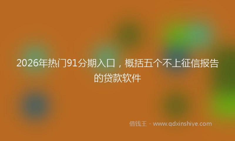 2026年热门91分期入口，概括五个不上征信报告的贷款软件
