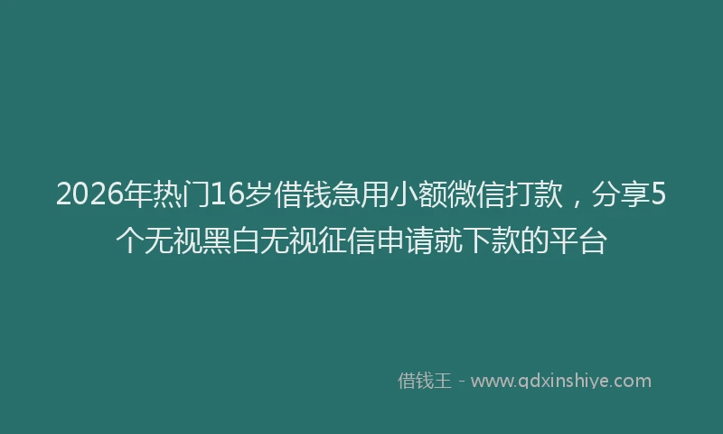 2026年热门16岁借钱急用小额微信打款，分享5个无视黑白无视征信申请就下款的平台