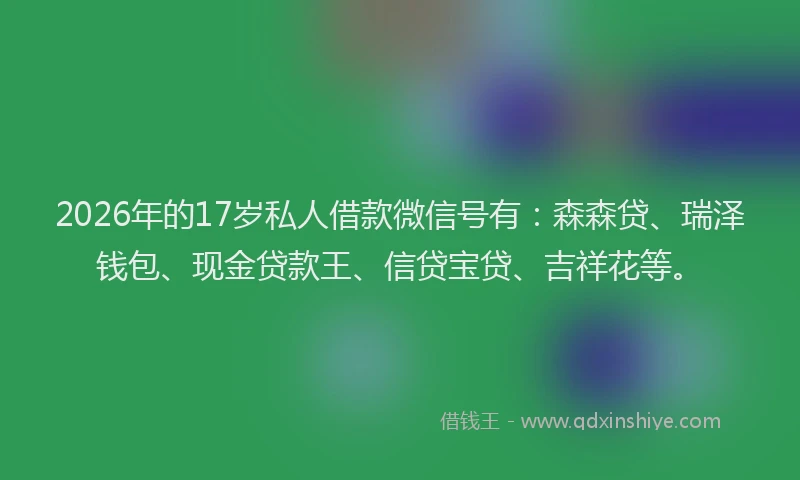 2026年的17岁私人借款微信号有：森森贷、瑞泽钱包、现金贷款王、信贷宝贷、吉祥花等。