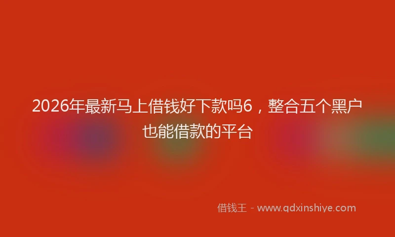 2026年最新马上借钱好下款吗6，整合五个黑户也能借款的平台
