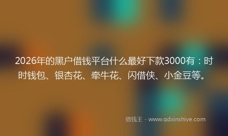 2026年的黑户借钱平台什么最好下款3000有：时时钱包、银杏花、牵牛花、闪借侠、小金豆等。