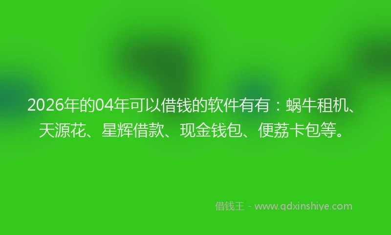 2026年的04年可以借钱的软件有有：蜗牛租机、天源花、星辉借款、现金钱包、便荔卡包等。