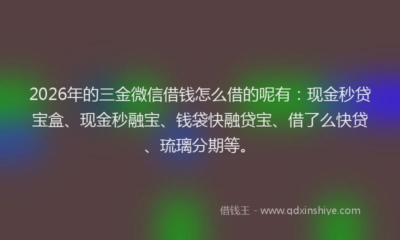 2026年的三金微信借钱怎么借的呢有：现金秒贷宝盒、现金秒融宝、钱袋快融贷宝、借了么快贷、琉璃分期等。