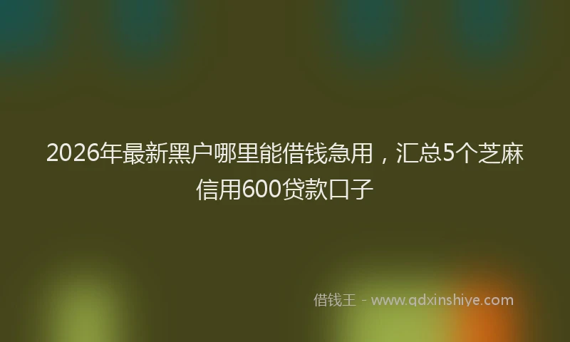 2026年最新黑户哪里能借钱急用，汇总5个芝麻信用600贷款口子
