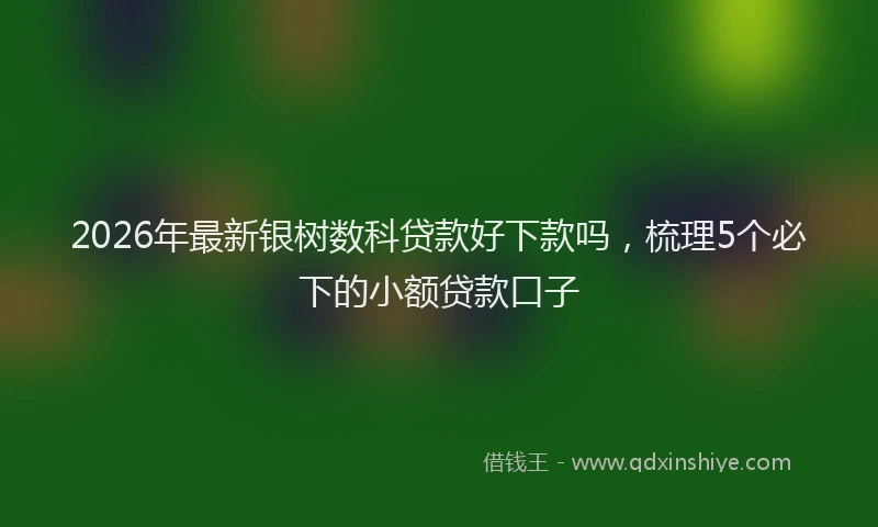 2026年最新银树数科贷款好下款吗，梳理5个必下的小额贷款口子