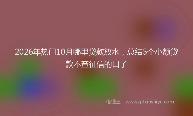 2026年热门10月哪里贷款放水，总结5个小额贷款不查征信的口子