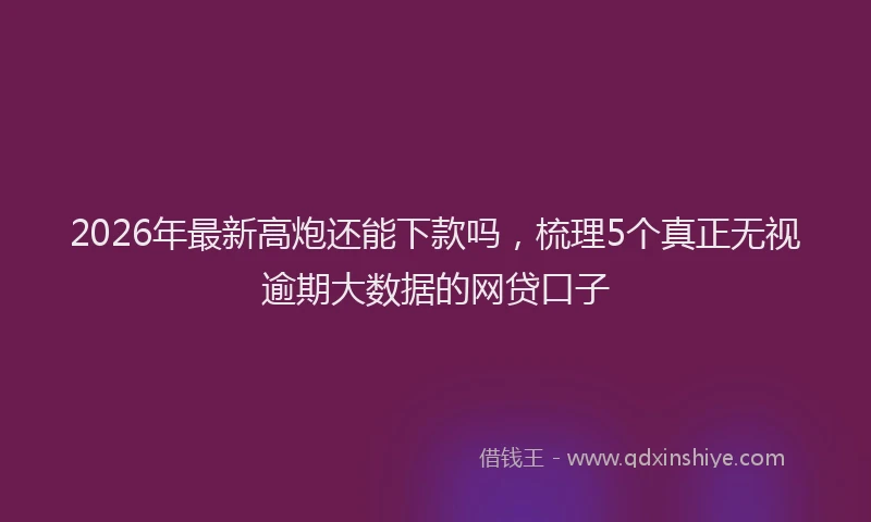 2026年最新高炮还能下款吗，梳理5个真正无视逾期大数据的网贷口子