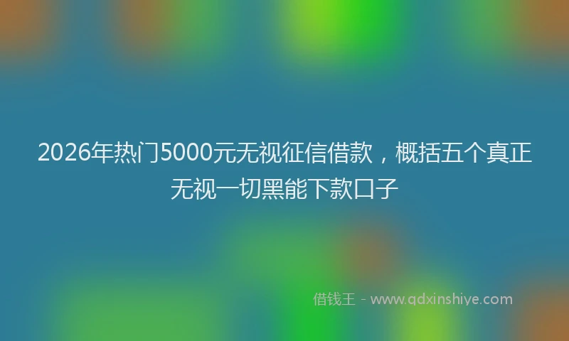 2026年热门5000元无视征信借款，概括五个真正无视一切黑能下款口子