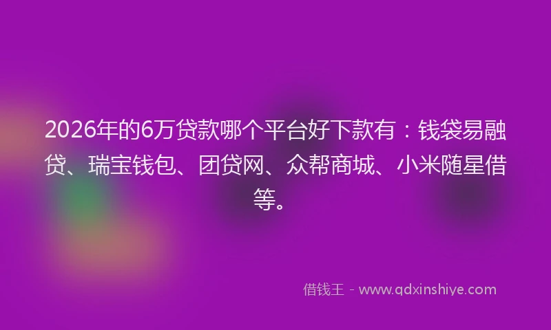 2026年的6万贷款哪个平台好下款有：钱袋易融贷、瑞宝钱包、团贷网、众帮商城、小米随星借等。