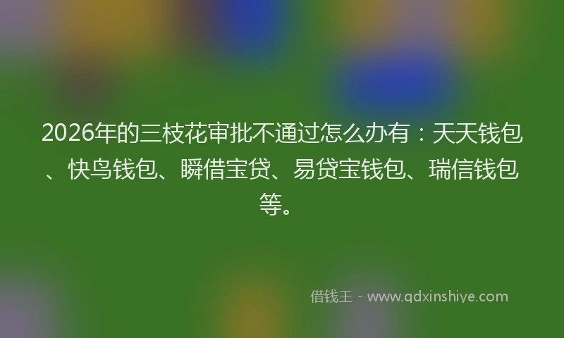 2026年的三枝花审批不通过怎么办有：天天钱包、快鸟钱包、瞬借宝贷、易贷宝钱包、瑞信钱包等。