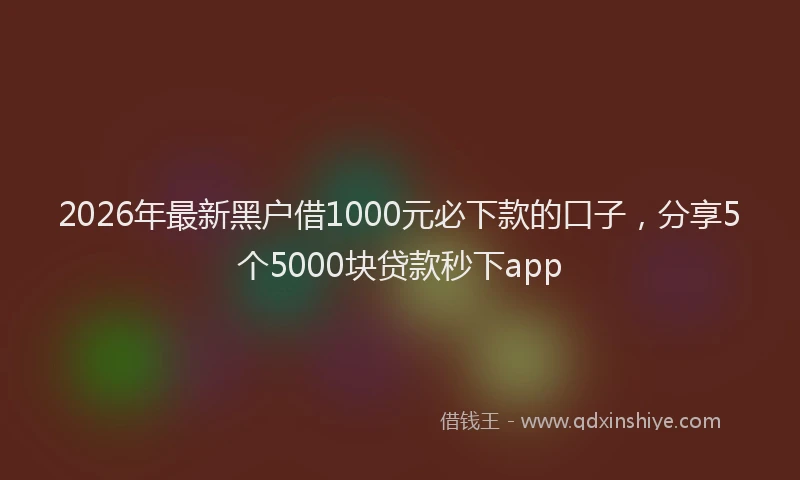 2026年最新黑户借1000元必下款的口子，分享5个5000块贷款秒下app