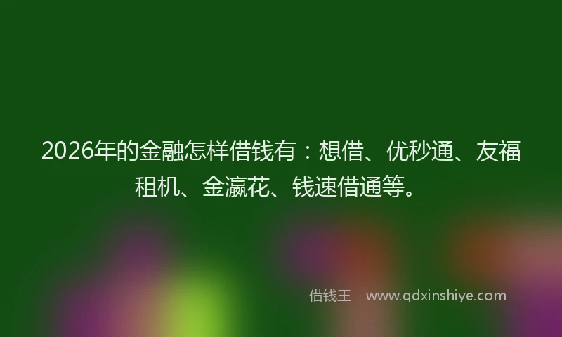 2026年的金融怎样借钱有：想借、优秒通、友福租机、金瀛花、钱速借通等。