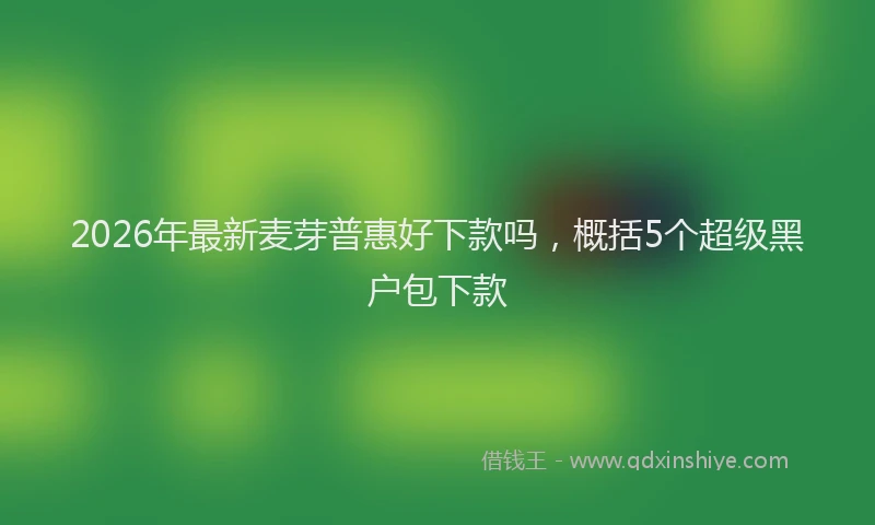 2026年最新麦芽普惠好下款吗，概括5个超级黑户包下款