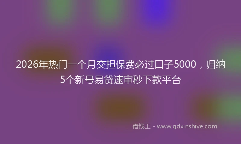 2026年热门一个月交担保费必过口子5000，归纳5个新号易贷速审秒下款平台