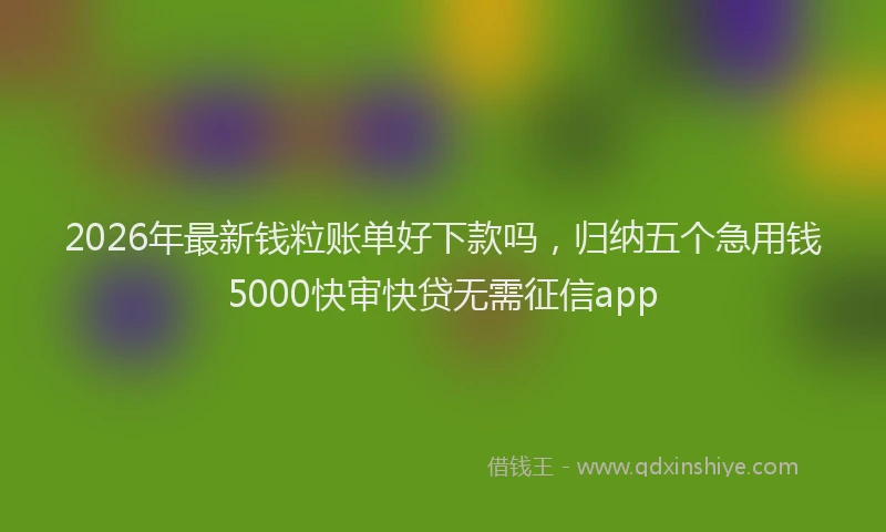 2026年最新钱粒账单好下款吗，归纳五个急用钱5000快审快贷无需征信app