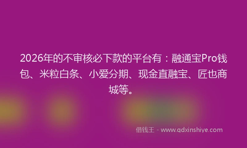 2026年的不审核必下款的平台有：融通宝Pro钱包、米粒白条、小爱分期、现金直融宝、匠也商城等。