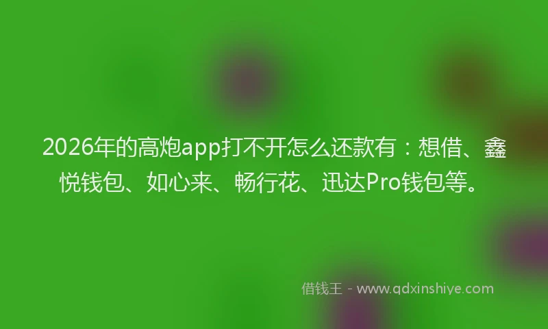 2026年的高炮app打不开怎么还款有：想借、鑫悦钱包、如心来、畅行花、迅达Pro钱包等。