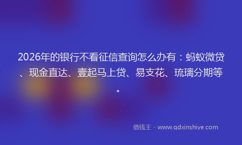 2026年的银行不看征信查询怎么办有：蚂蚁微贷、现金直达、壹起马上贷、易支花、琉璃分期等。