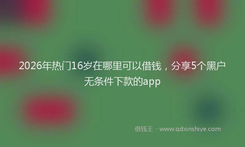 2026年热门16岁在哪里可以借钱，分享5个黑户无条件下款的app