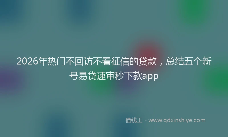 2026年热门不回访不看征信的贷款，总结五个新号易贷速审秒下款app