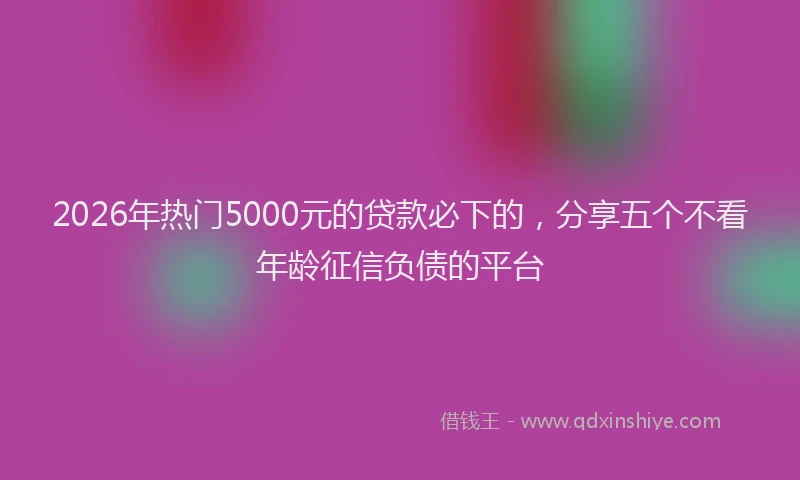 2026年热门5000元的贷款必下的，分享五个不看年龄征信负债的平台