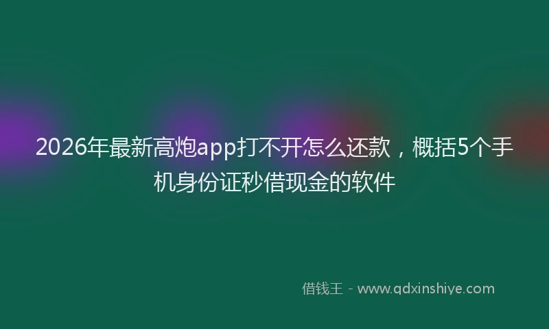 2026年最新高炮app打不开怎么还款，概括5个手机身份证秒借现金的软件