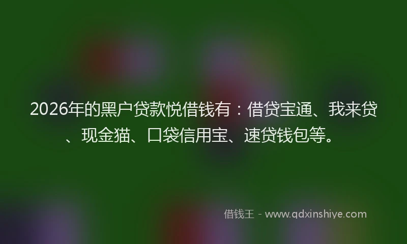 2026年的黑户贷款悦借钱有：借贷宝通、我来贷、现金猫、口袋信用宝、速贷钱包等。