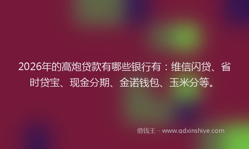 2026年的高炮贷款有哪些银行有：维信闪贷、省时贷宝、现金分期、金诺钱包、玉米分等。