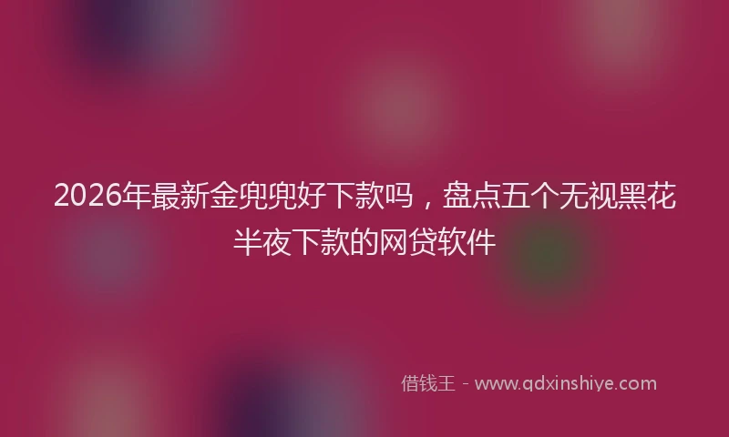 2026年最新金兜兜好下款吗，盘点五个无视黑花半夜下款的网贷软件