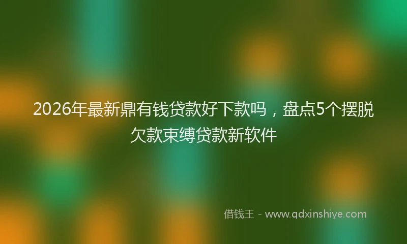 2026年最新鼎有钱贷款好下款吗，盘点5个摆脱欠款束缚贷款新软件