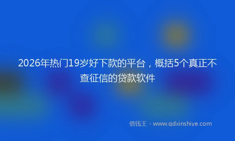 2026年热门19岁好下款的平台，概括5个真正不查征信的贷款软件