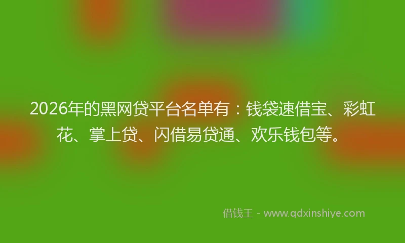 2026年的黑网贷平台名单有：钱袋速借宝、彩虹花、掌上贷、闪借易贷通、欢乐钱包等。