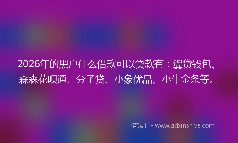 2026年的黑户什么借款可以贷款有：翼贷钱包、森森花呗通、分子贷、小象优品、小牛金条等。