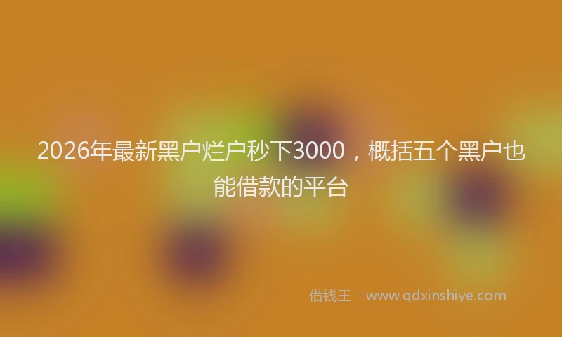 2026年最新黑户烂户秒下3000，概括五个黑户也能借款的平台