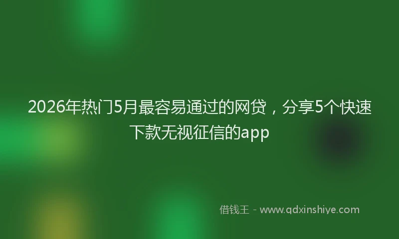 2026年热门5月最容易通过的网贷，分享5个快速下款无视征信的app